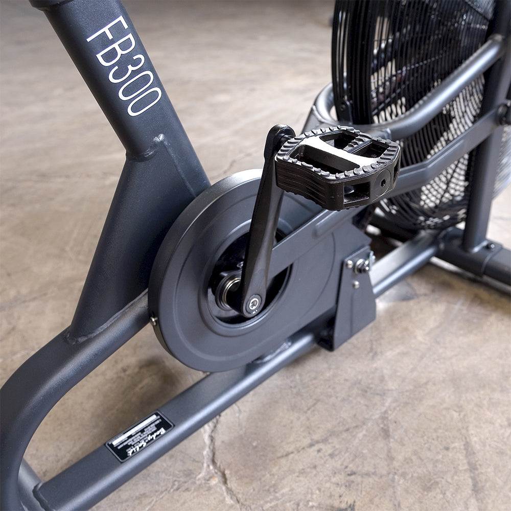 Endurance Fan Bike  FB300