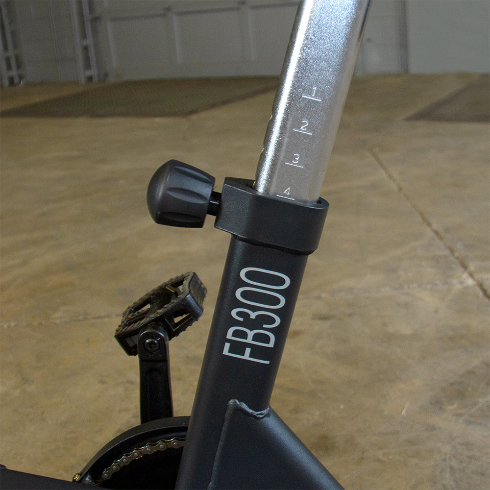 Endurance Fan Bike  FB300